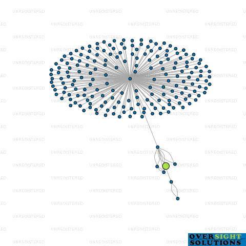 Network diagram for 2VKAY ENTERPRISES LTD