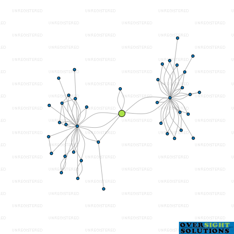 Network diagram for WILSON NOLAN TRUSTEE LTD