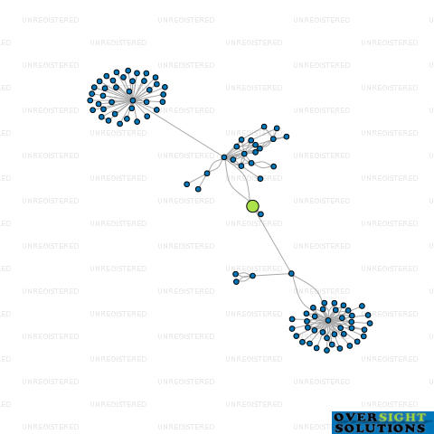 Network diagram for PROGRESSIVE LANDINGS LTD
