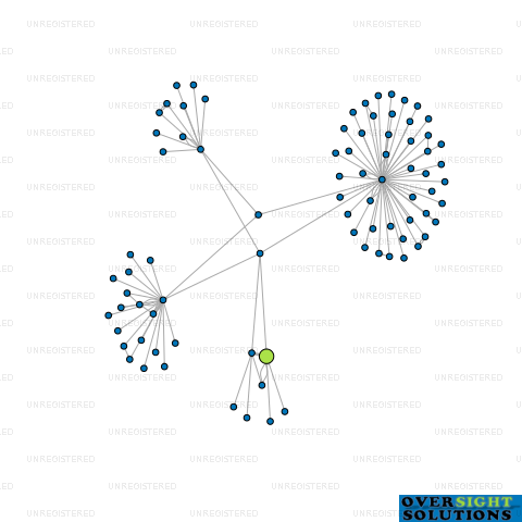 Network diagram for SMARTSPACE SOFTWARE LTD