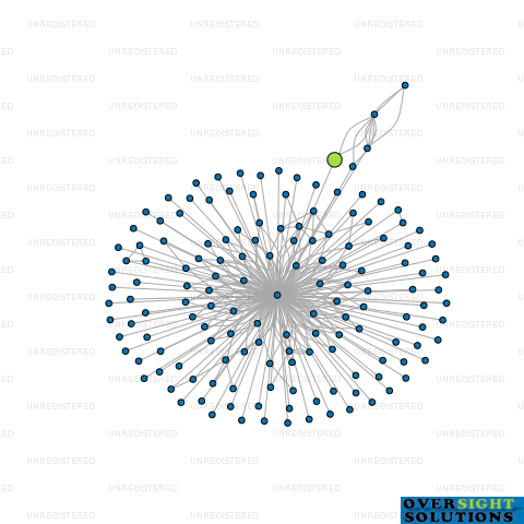 Network diagram for MONTAGU HOLDINGS LTD
