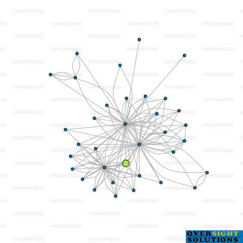 Network diagram for 333 CAPITAL NEW ZEALAND LTD