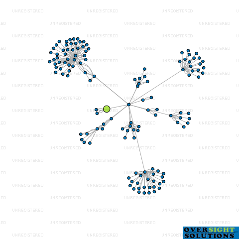 Network diagram for LOCKSMART LTD
