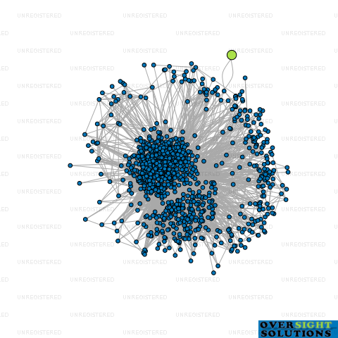 Network diagram for NZ HYDRO SHINE LTD