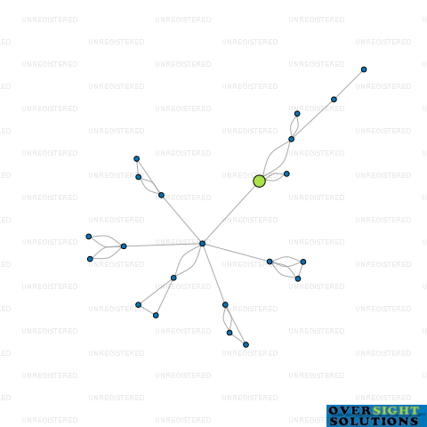 Network diagram for CONFIDENT CARE NZ LTD