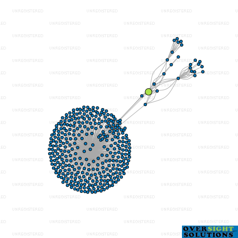 Network diagram for STRATEGIC INTERCHANGE LTD