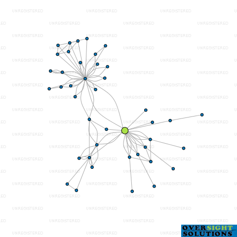 Network diagram for DRONE MATE LTD