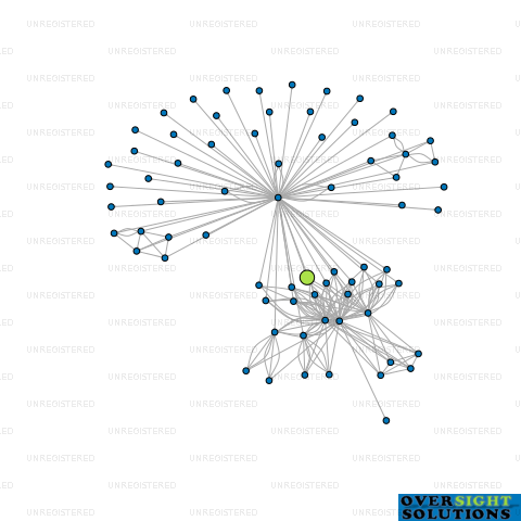 Network diagram for 13 BERLANE LTD