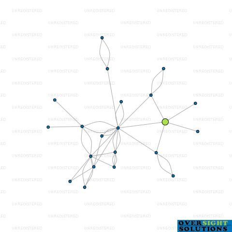 Network diagram for WINSTON NUTRITIONAL LTD