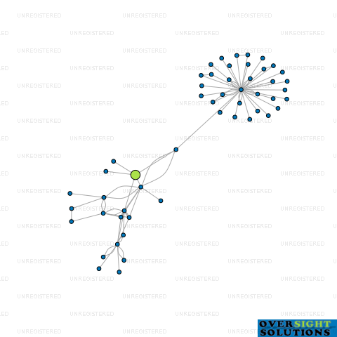 Network diagram for 2PLUS MARU LTD