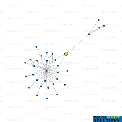 Network diagram for AEROPARKS LTD