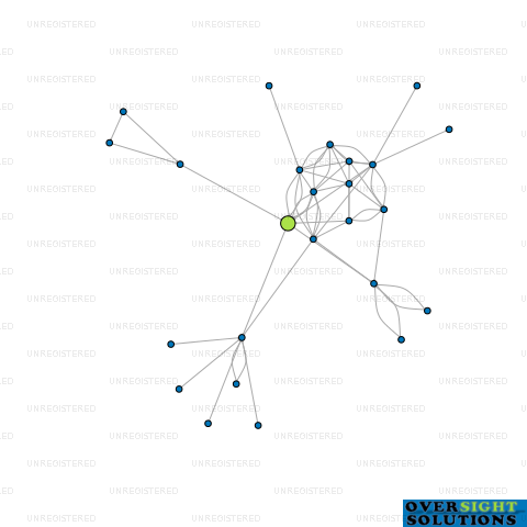Network diagram for MORGAN HOLDINGS LTD