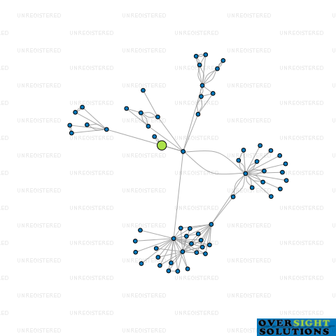 Network diagram for CONTROLPOINT INTERNATIONAL LTD