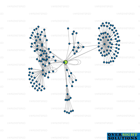 Network diagram for TAYLOR PRESTON LTD