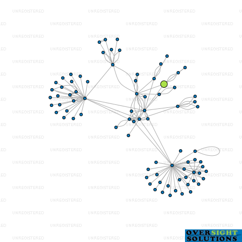 Network diagram for THE NEW ZEALAND SURVEYING COMPANY LTD