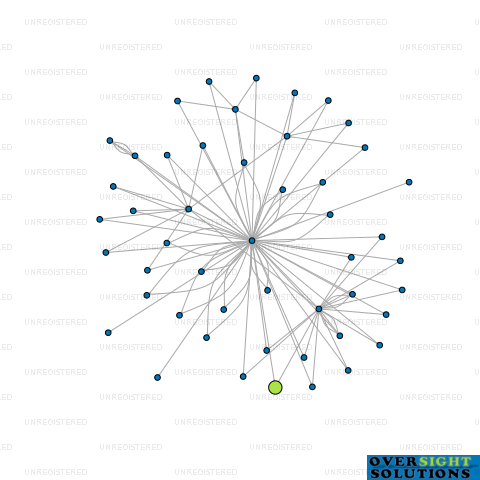 Network diagram for CONTRUCTA COMPANY TWO LTD