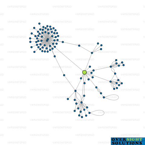 Network diagram for TROOP HOLDINGS LTD