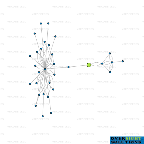 Network diagram for ELITE AM TRADING LTD