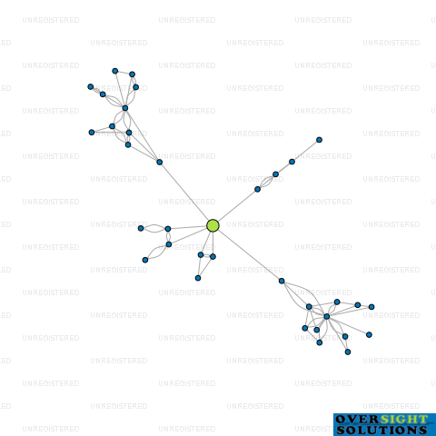 Network diagram for 22 BENARES LTD