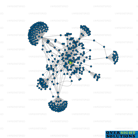 Network diagram for TREIZE INVESTMENTS LTD