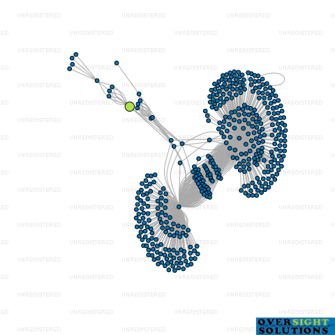 Network diagram for ROKANE HOLDINGS LTD