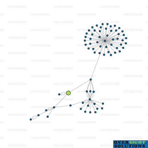 Network diagram for WRIGHTWAY CONSTRUCTION AUCKLAND LTD