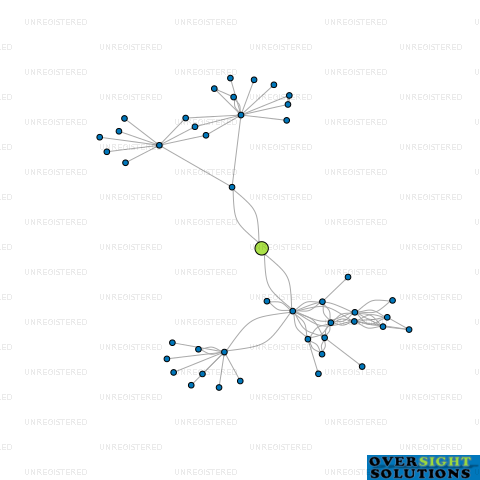 Network diagram for MONSTER INVESTMENTS LTD