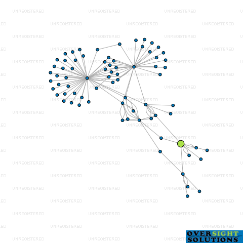 Network diagram for RECRUITMENT ENTREPRENEUR NEW ZEALAND LTD