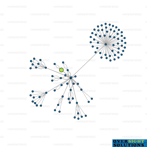 Network diagram for WILLIS STREET TRUSTEE SERVICES LTD