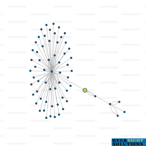 Network diagram for OSS SYSTEMS LTD