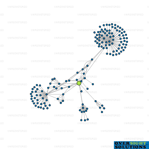 Network diagram for OASIS SURGICAL HOLDINGS LTD