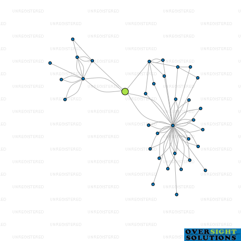 Network diagram for DNA BREWING LTD