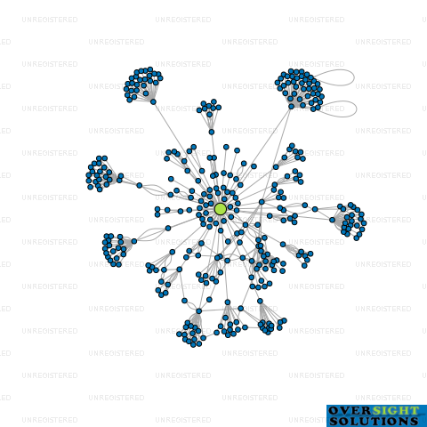 Network diagram for RESIN  WAX HOLDINGS LTD