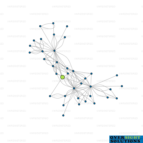 Network diagram for 315 PROPERTIES LTD