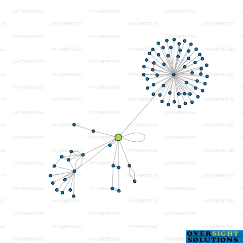 Network diagram for TRAVEL CONNECTIONS NZ LTD