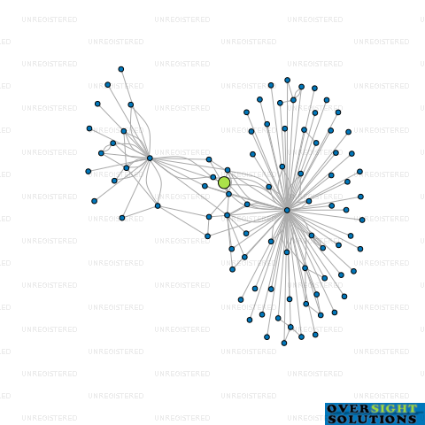 Network diagram for HFT INVESTMENTS LTD