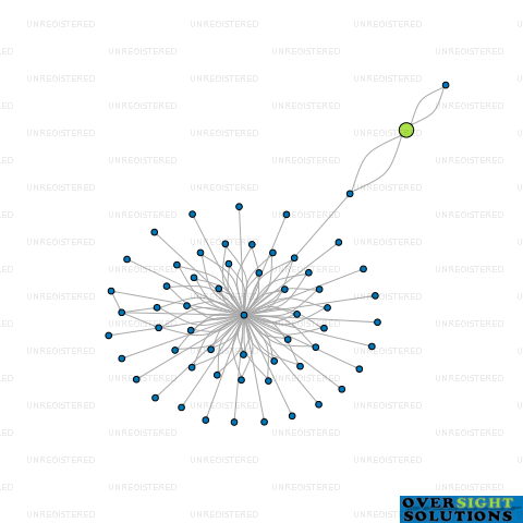 Network diagram for ACL TRUSTEES HURST LTD