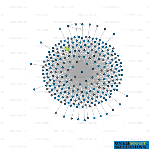 Network diagram for WILSON MCKAY TRUSTEE COMPANY 251108 LTD