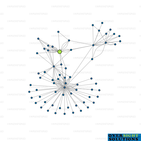 Network diagram for CHANCE VOIGHT INVESTMENT PARTNERS LTD