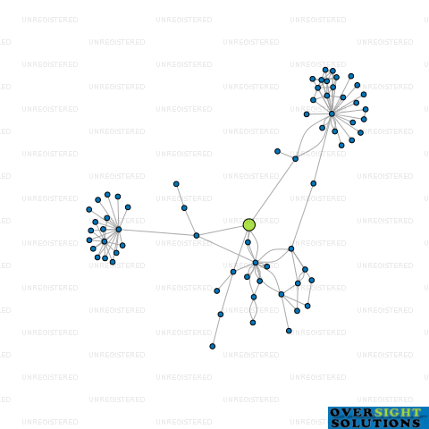 Network diagram for WISDOM INVESTMENTS LTD