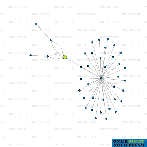 Network diagram for SOUTHERN SANCTUARY LTD