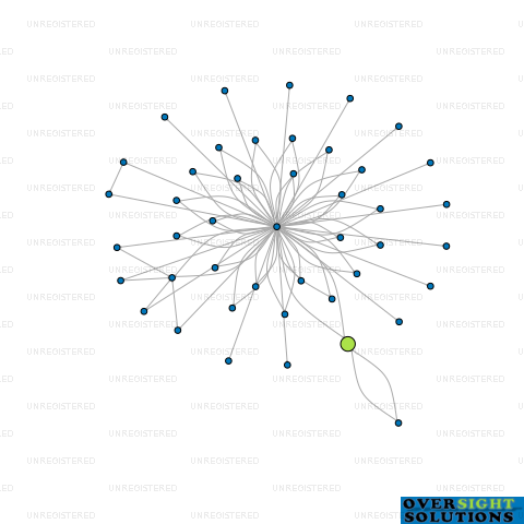Network diagram for SENI LTD