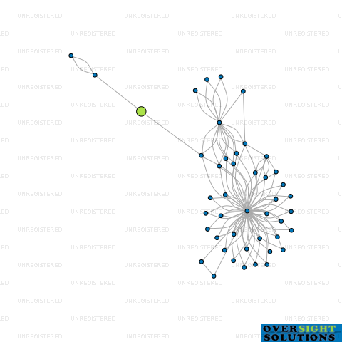 Network diagram for BLUNDELL  SONS LTD