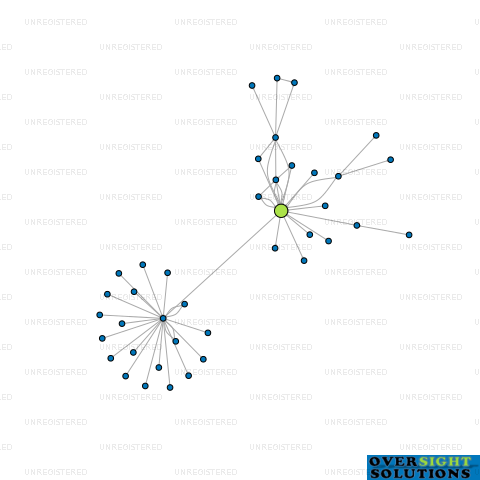 Network diagram for MORRISON LOW HOLDINGS LTD