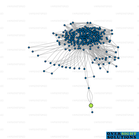 Network diagram for MN SINGH FAMILY LTD