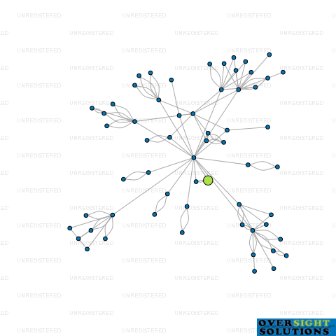 Network diagram for SHAELYN NZ LTD