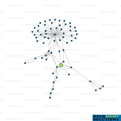 Network diagram for BDL DEVELOPMENTS LTD