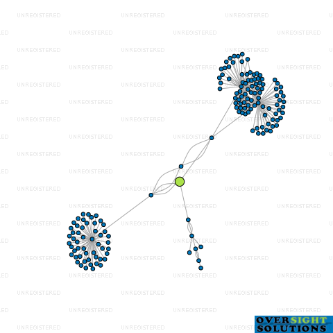Network diagram for THE BIG GRIN LTD