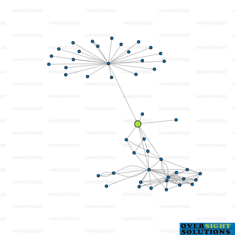 Network diagram for ANIMATES NZ HOLDINGS LTD