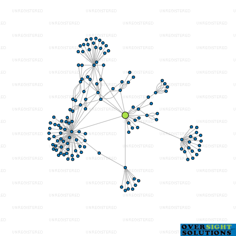 Network diagram for SHOTT BEVERAGES LTD